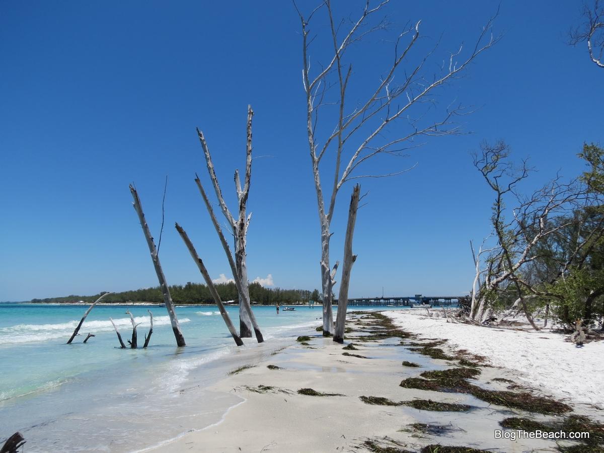 Sandee - Beer Can Island Beach