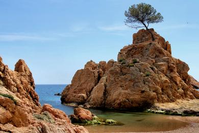 Sandee - Platja Mar Menuda