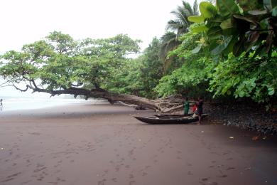 Sandee Limbe Beach