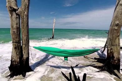 Sandee - Stump Pass Beach