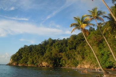 Sandee - Anse Couleuvre