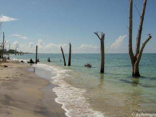 Sandee - Stump Pass Beach