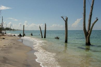 Sandee - Stump Pass Beach