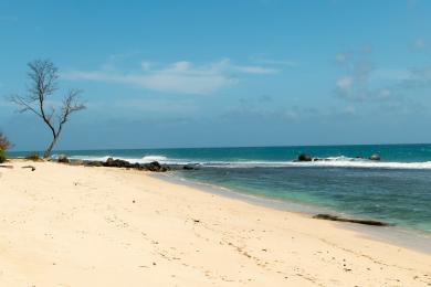Sandee Anse Nord D'Est