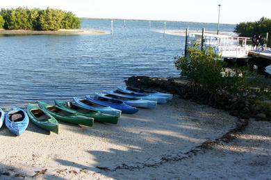 Sandee - Tarpon Bay