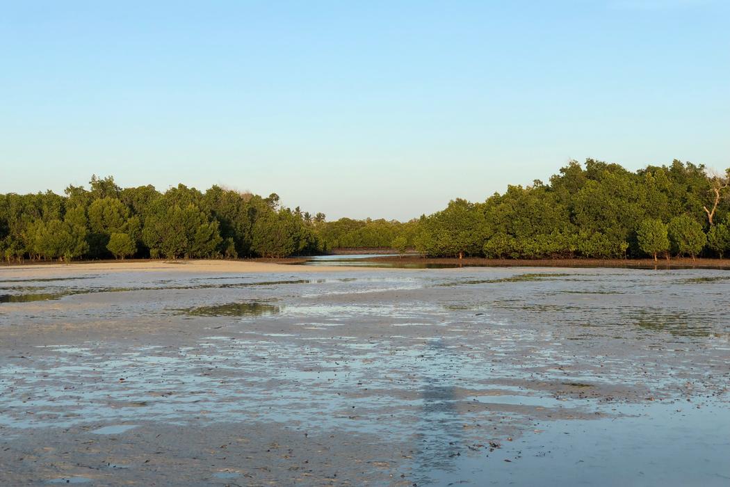 Sandee Watamu Beach
