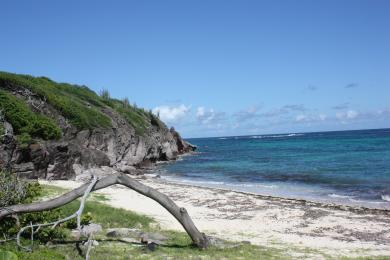 Sandee Plage De Cap Macre Photo