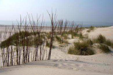 Sandee Noordzee Beach