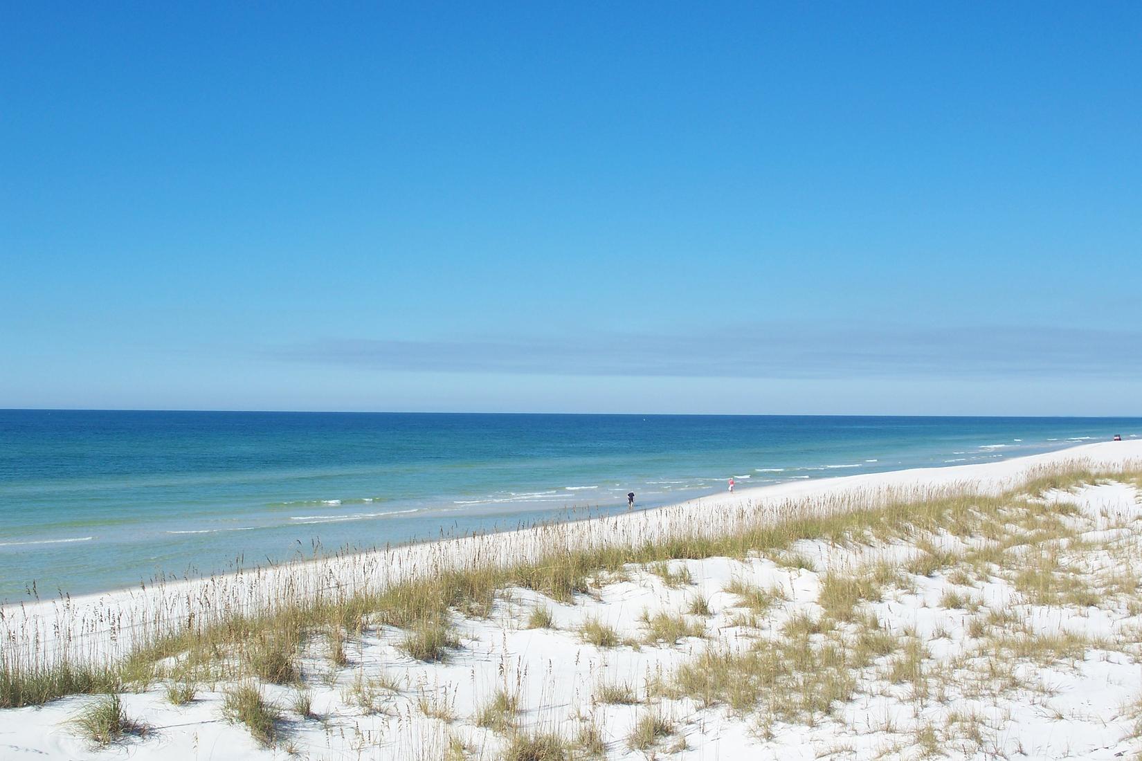 Sandee - St. Joseph Peninsula State Park