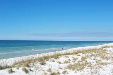 Sandee - St. Joseph Peninsula State Park