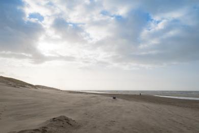 Sandee Strand Wijk Aan Zee Photo