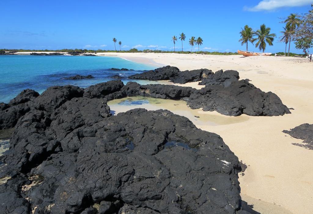 Sandee Chindini Beach Photo