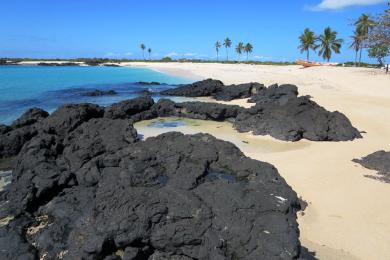 Sandee Chindini Beach