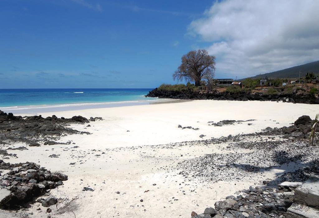 Sandee Chomoni Beach Photo