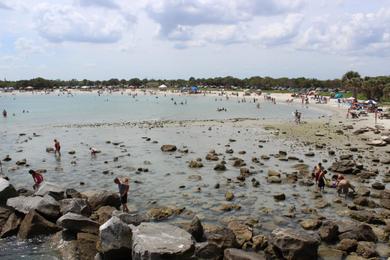 Sandee - Sebastian Inlet State Park