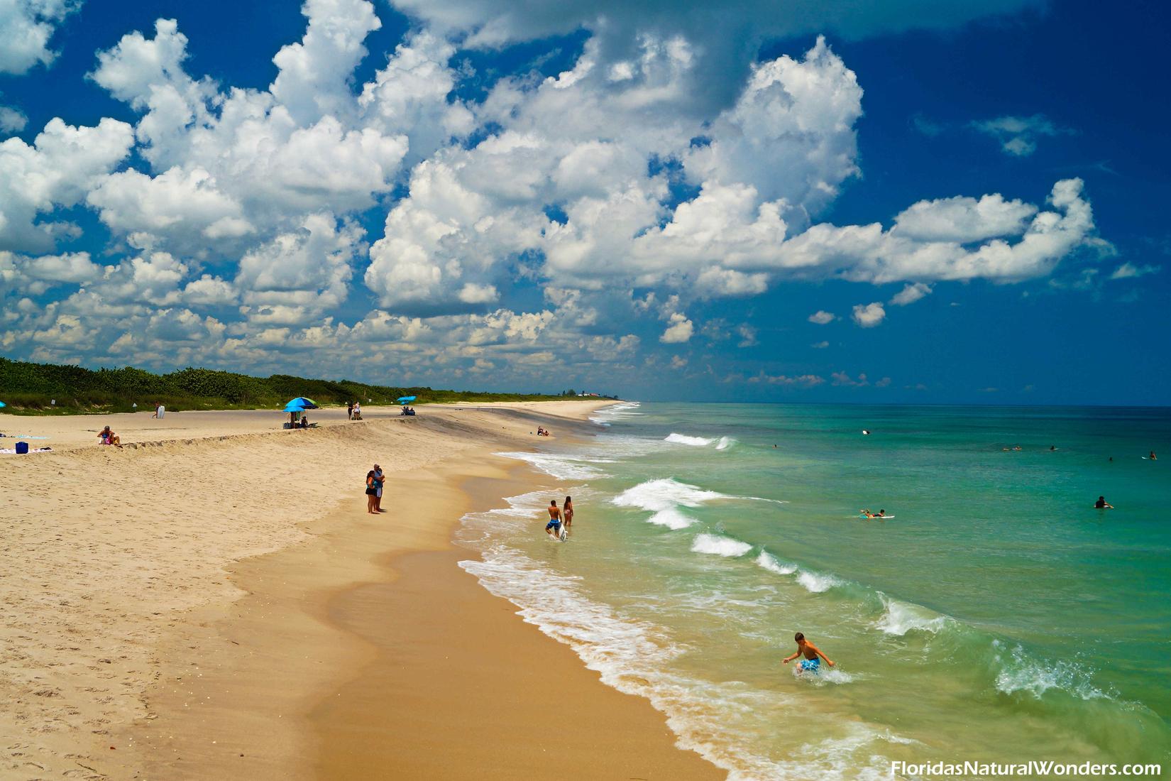 Sandee - Sebastian Inlet State Park