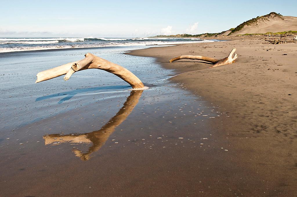 Sandee Sigatoka Sand Dunes Photo