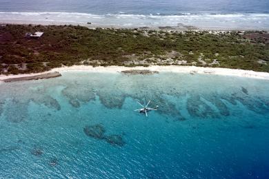 Sandee Bikini Atoll Photo