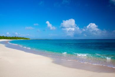 Sandee - Country / Bikini Atoll