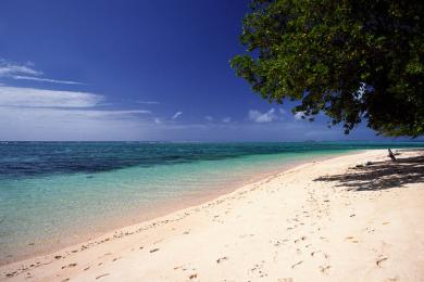 Sandee - Country / Majuro Atoll