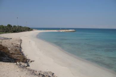 Sandee Coral Beach
