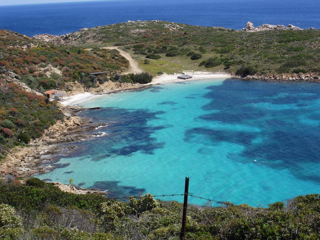 Sandee - Asinara Island