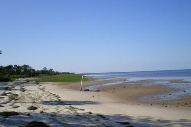 Sandee - Shired Island Beach