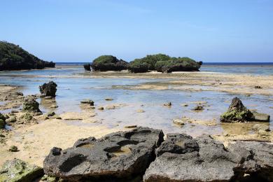 Sandee - Hoshizuna Beach