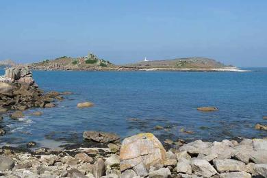 Sandee Old Grimsby Harbour Photo