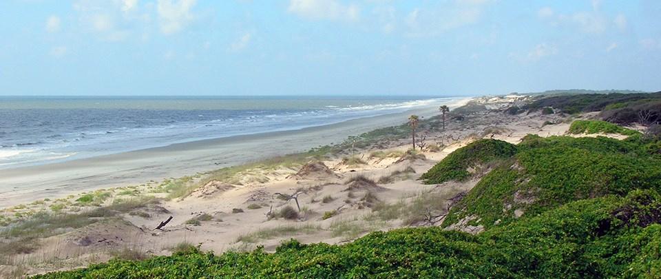 Sandee - Cumberland Island