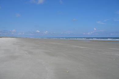 Sandee - Cumberland Island