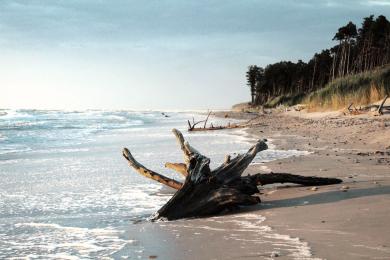 Sandee Ventspils Blue Flag Beach Photo