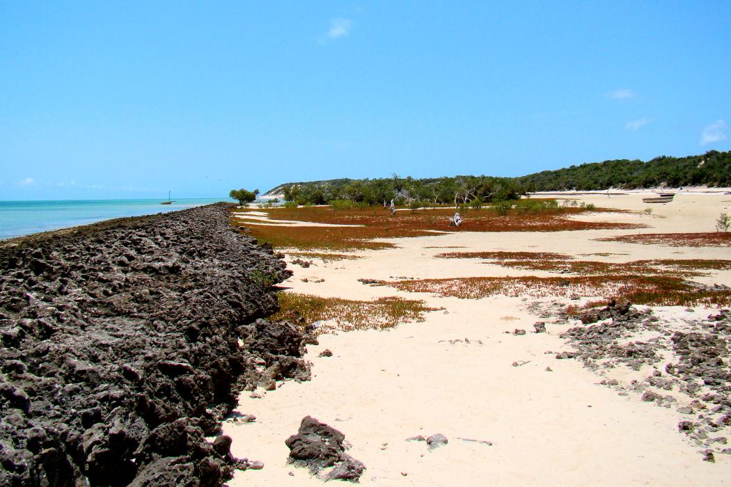 Sandee Bazaruto National Park