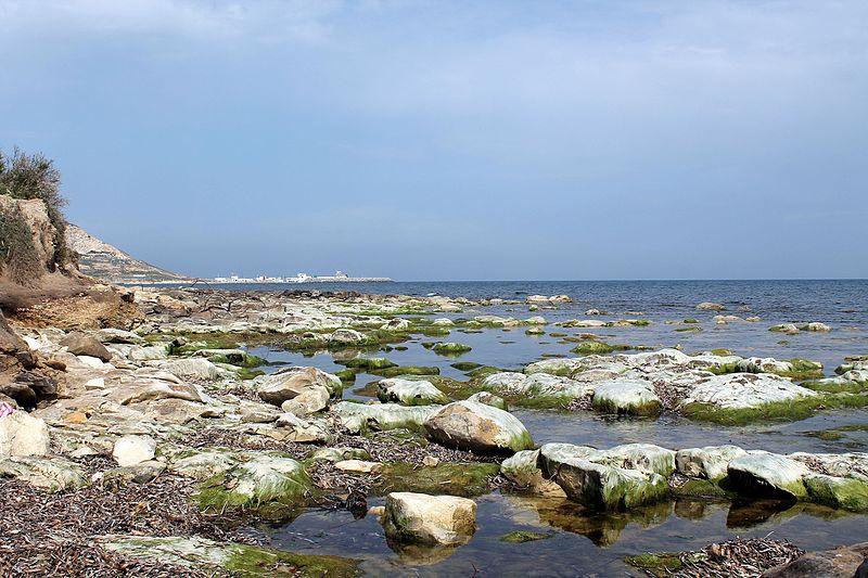 Sandee Cap Zebib Beach