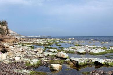 Sandee Cap Zebib Beach