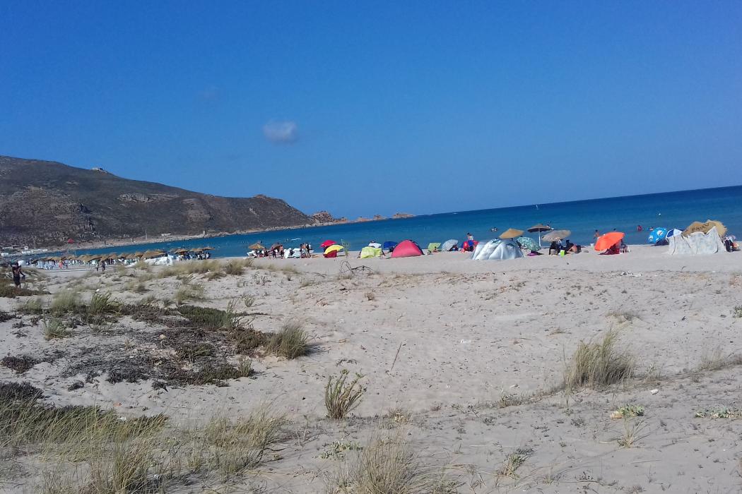 Sandee El Haouaria Beach