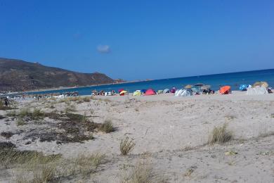 Sandee El Haouaria Beach