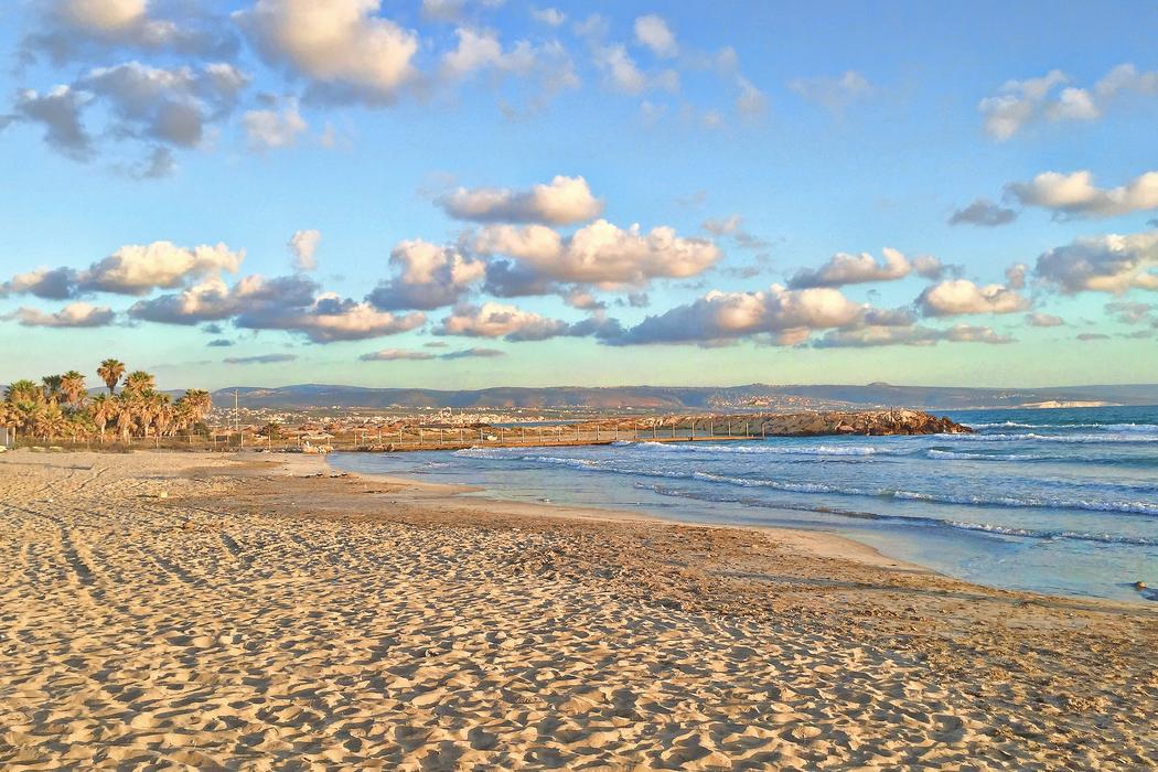 Sandee Tyre Beach