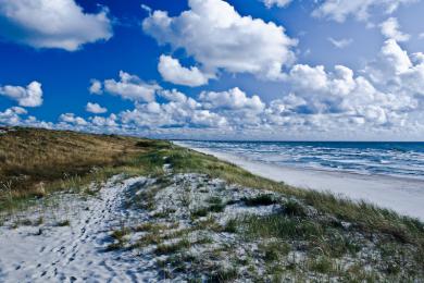 Sandee - Palanga Beach