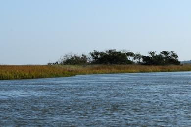 Sandee - Wassaw Island - North Beach