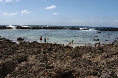 Sandee - Shark's Cove Beach