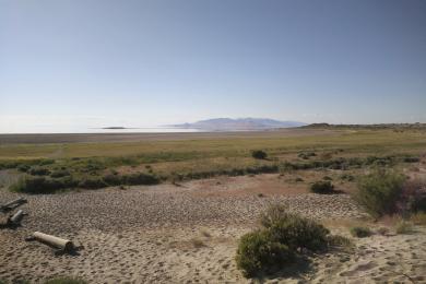 Sandee Bridger Bay Beach