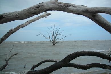 Sandee South Ossabaw