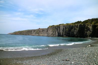 Sandee Middle Cove Beach