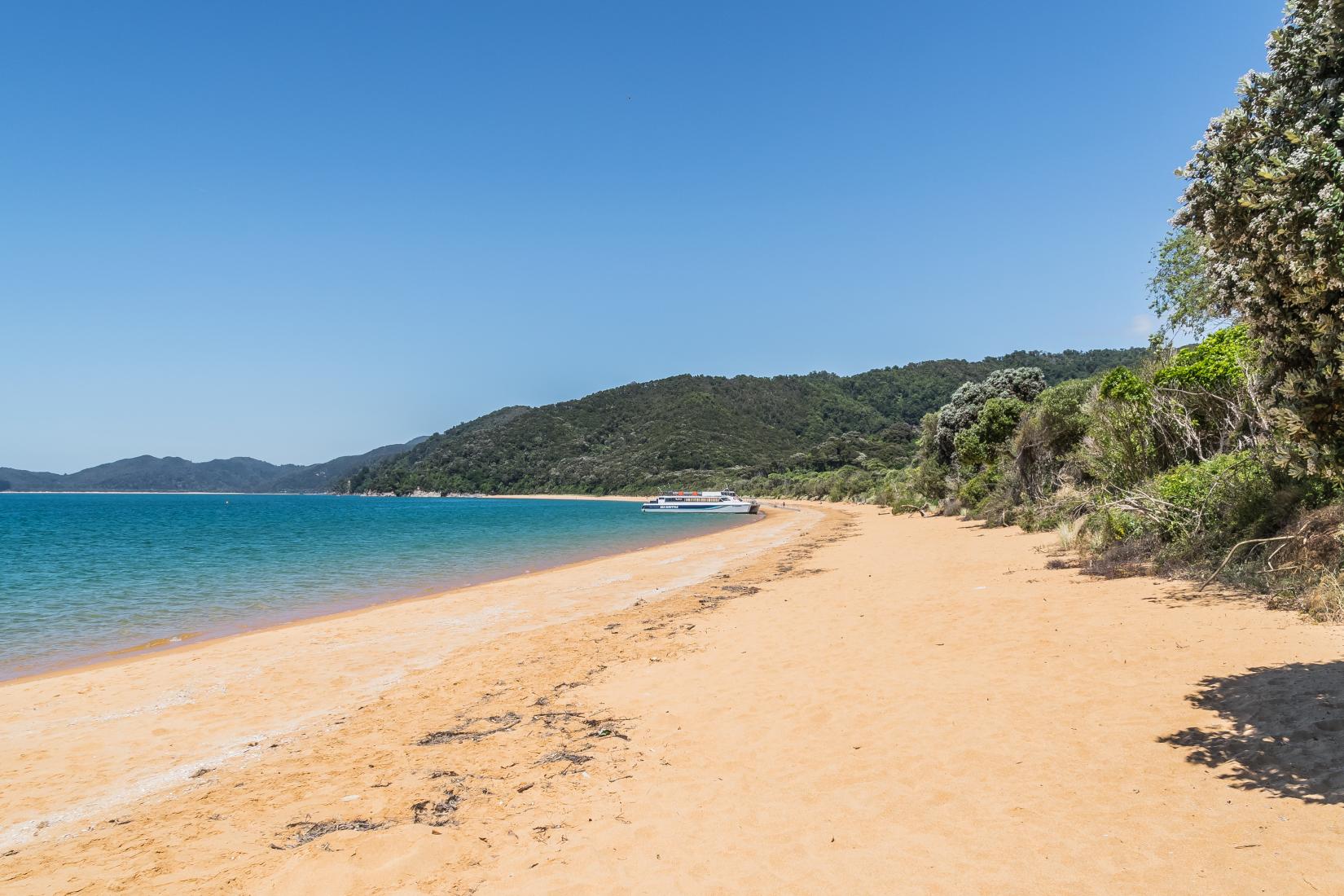 Sandee - Totaranui Bay Beach