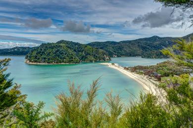 Sandee Torrent Bay Photo