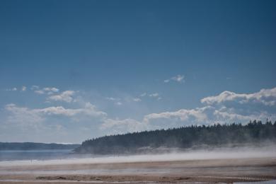 Sandee New River Beach Photo