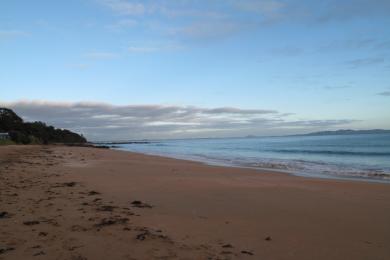 Sandee Coopers Beach Photo