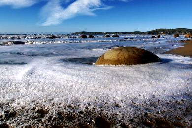 Sandee - Moeraki Boulders Beach