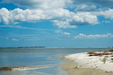 Sandee Williamson Island